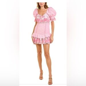 Lovely Romantic LoveShackFancy Pink Floral Mini Dress. Heirloom Luxury